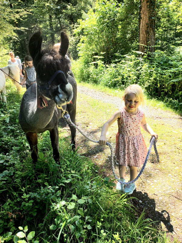 Kinderfreundliches Lamatrekking